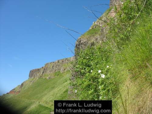 Giant's Causeway